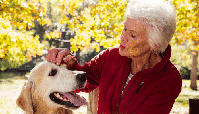 Cachorro para idosos – Duas das raças mais recomendadas. Confira!