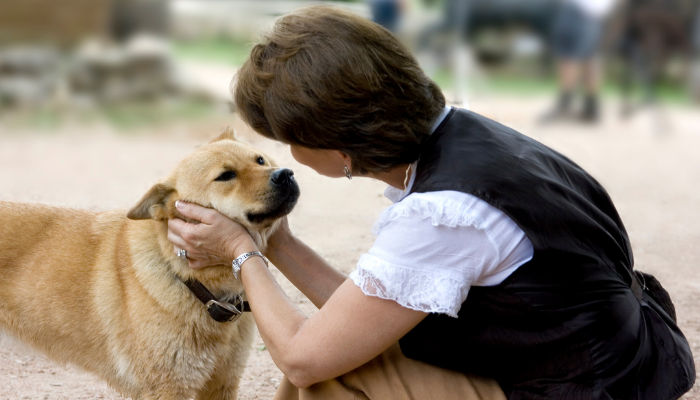 Os cães entendem o que falamos? Saiba mais!