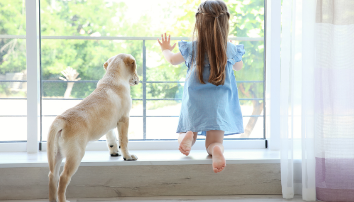 Cães de família – Melhores raças para casa com crianças. Confira!