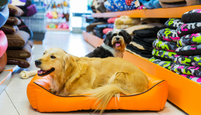 Como escolher o pet shop ideal - Confira as dicas!