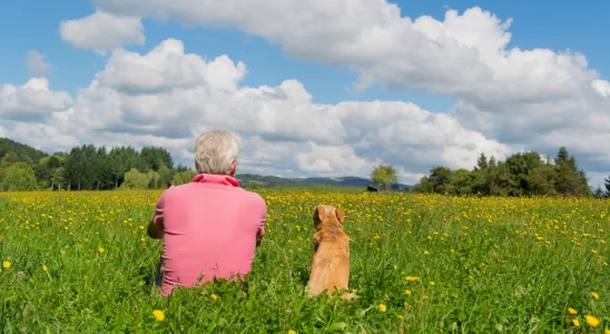 Ganhar a confiança de um cachorro – Confira 3 dicas de ouro!