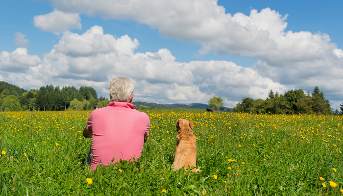 Ganhar a confiança de um cachorro – Confira 3 dicas de ouro!