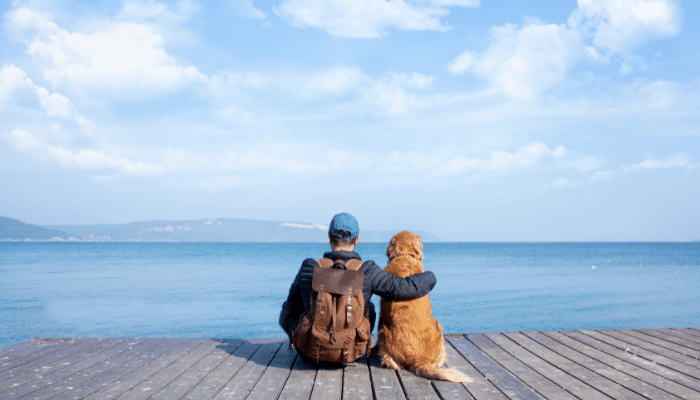 Ter um cachorro – Você está  preparado? Saiba mais!