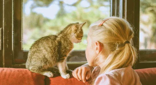 Crianças autistas podem se beneficiar do contato com gatos