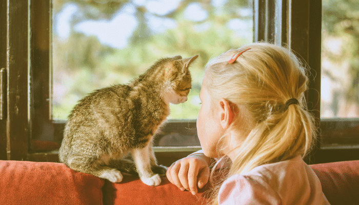 Crianças autistas podem se beneficiar do contato com gatos