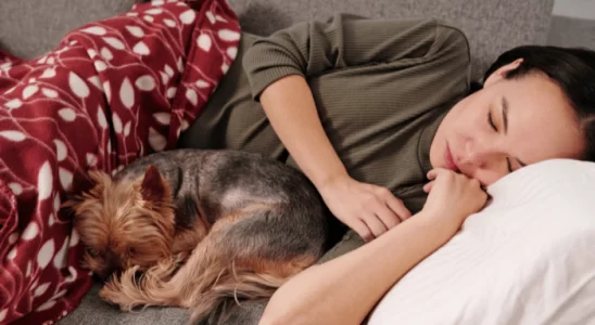 Raça de cão perfeita - Encontre a melhor para o seu estilo de vida