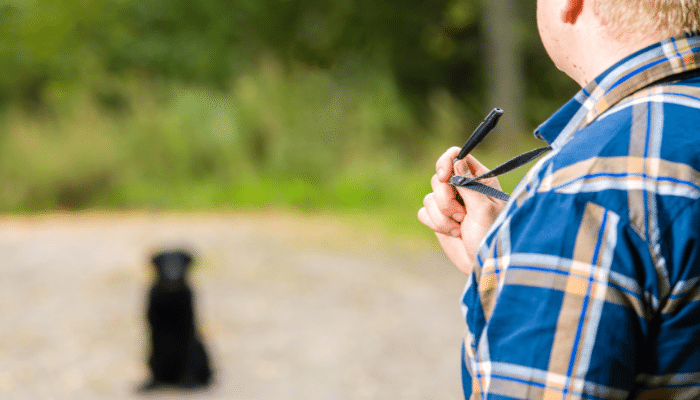 Apito para cachorro - Como funciona? Posso usar para adestrar?