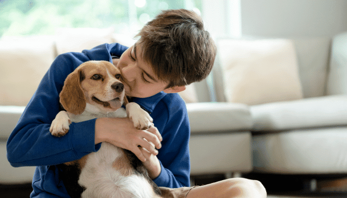 Cachorros dóceis - 3 opções de raças para sua escolha