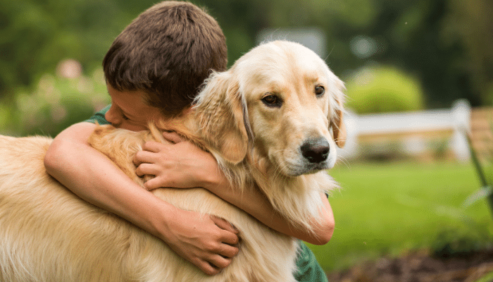 Cachorros e Crianças: Dicas para uma Convivência Segura e Feliz