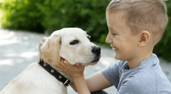 Crianças e Cães Como Garantir uma Convivência Harmoniosa