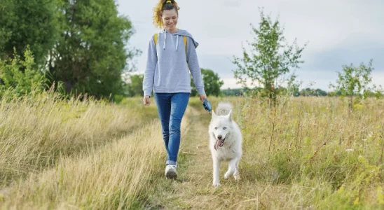 Benefícios Terapêuticos de Ter um Pet para Sua Saúde Mental