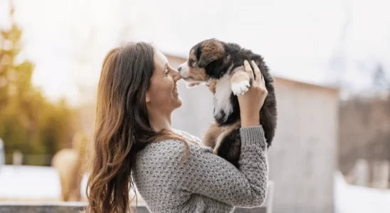 Como Introduzir um Novo Pet em sua Casa Suavemente